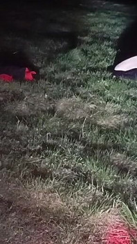 I Strip and Jerk off Outside at Night