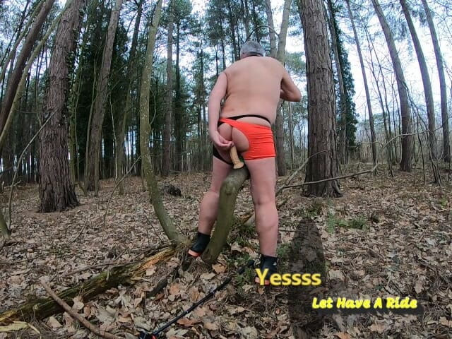 Andy: New Shorts 2 2026