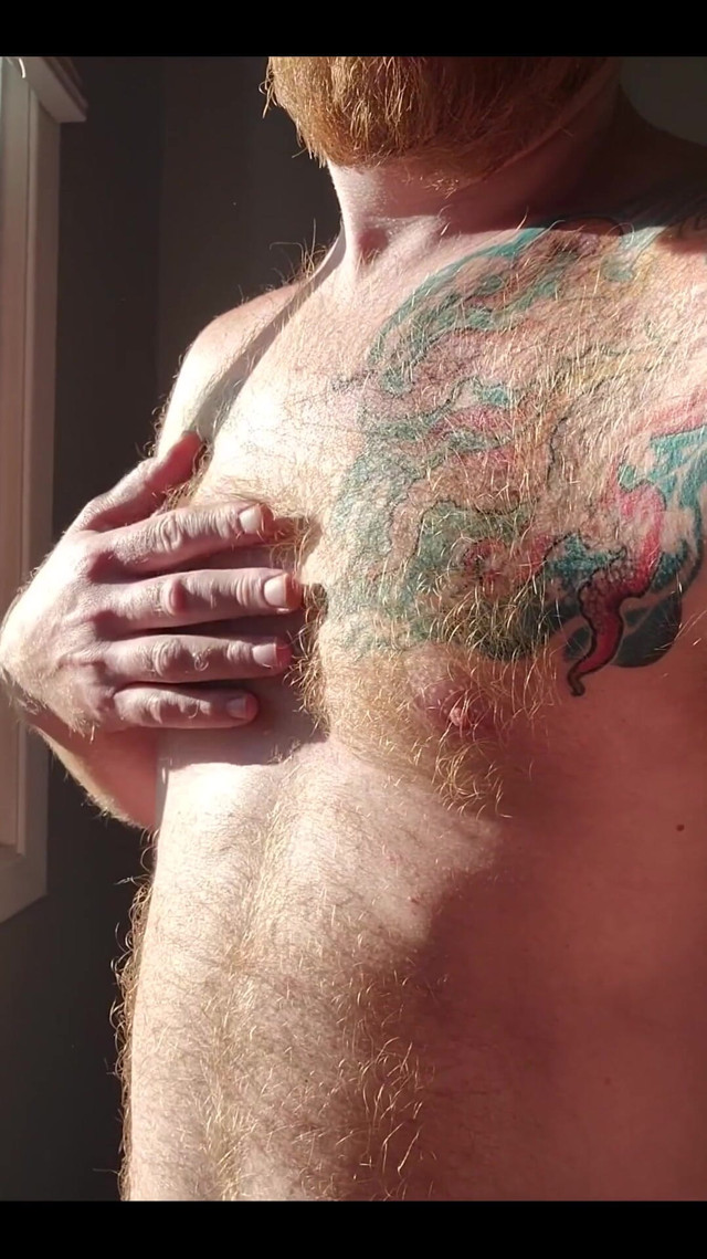 The Morning Sunlight (Logan Stanley) The Morning Sunlight (Logan Stanley)