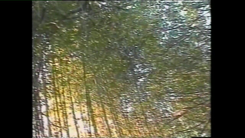 Heatwave Gay: 브라질 너트, 1부