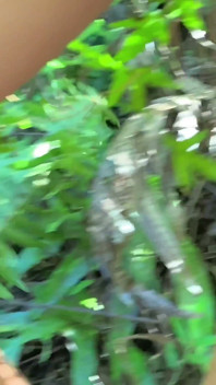 Viaje a la naturaleza y luego follar