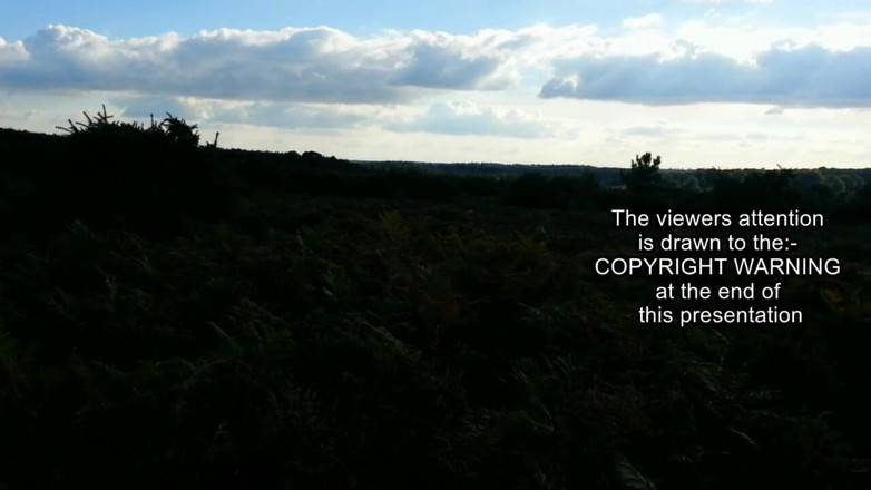 Movies by Louise: Dogging cam vol 2 - bunden