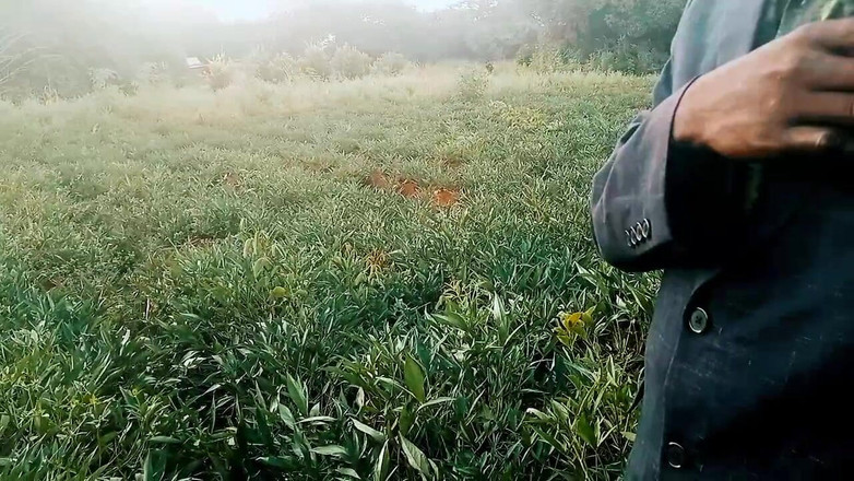 Judith xxx: Ultimul meu videoclip