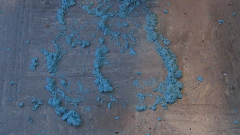 Lilly Disgrace: Alginate schizzi