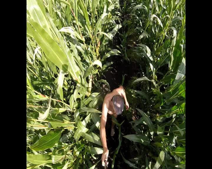 Andy: Procházka po kukuřici