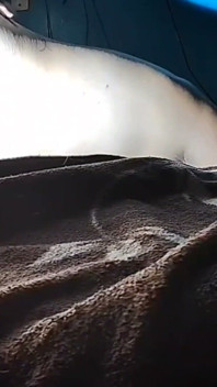 Puchis - la sexy milf Jugoso Ruidoso Squirta