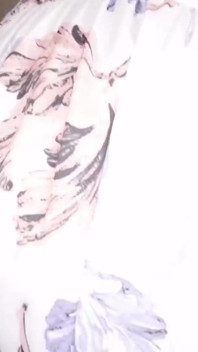 Asian Angel 27231