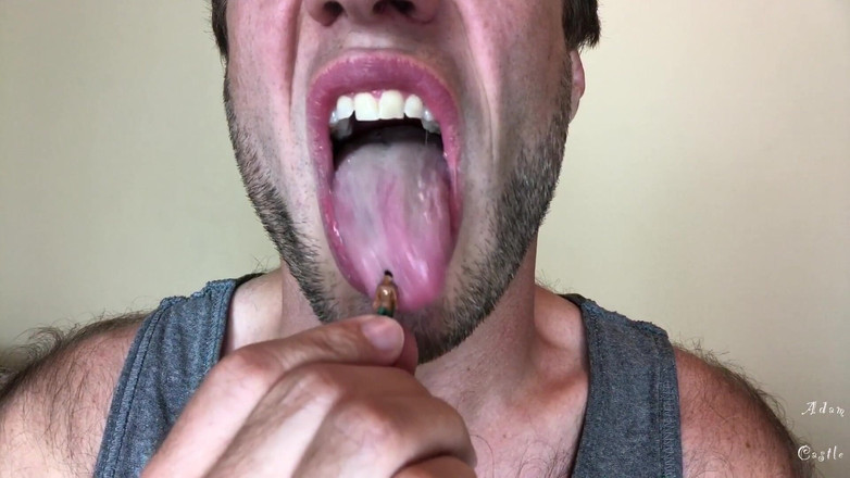 Adam Castle Solo: Gigantische coach Adam doms versnipperde speler