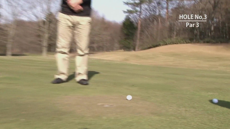The Asian Sports: Golfing with an incredible Asian tart sounds like a good...