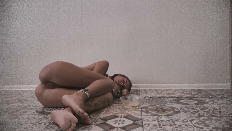 TenderRuin: บันทึกนอกห้องปฏิบัติการ / บันทึกเซสชัน 26