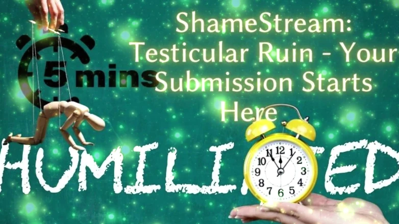 Goddess Misha Goldy: Shamestream: Ruína testicular - sua submissão começa aqui