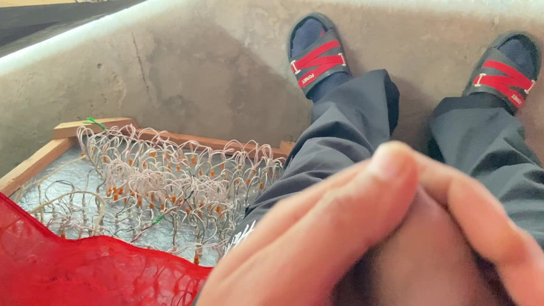 Shonai: Šel jsem na svatbu, ztratil jsem mysl poté, co jsem...