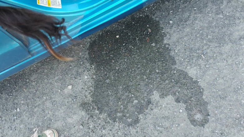 Nerdy_faery: Nerdy Faery Goes Kencing