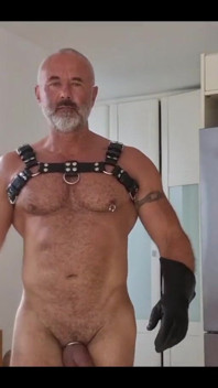 Did You Ask for Your Owner, Boy?