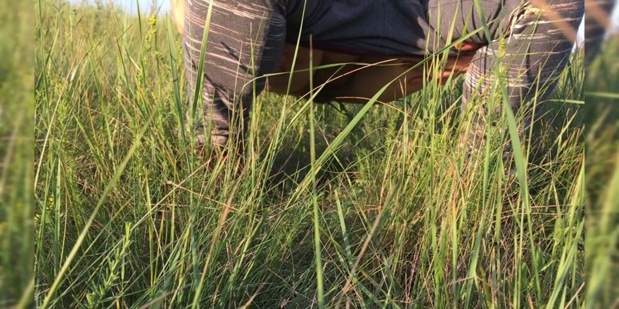 Miodelka: Arriscado xixi fora da compilação na natureza