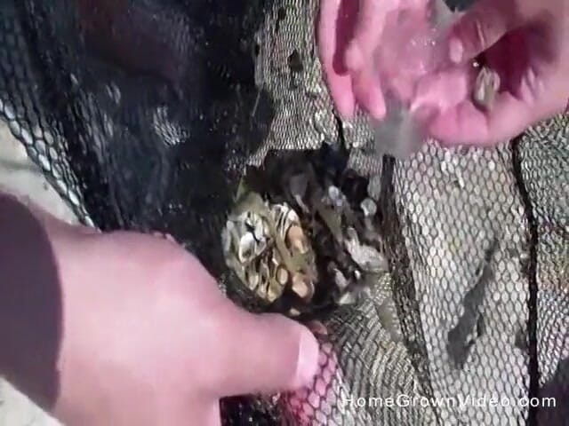 Homegrown Video: Ngentot enak di pantai