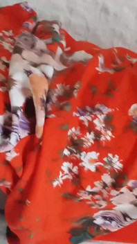 Dani Leg dengan stoking jala hitam seksi