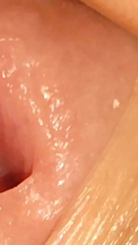 Alkaline Battery Completely Inserted Into the Cock.