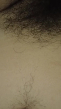 Hairy Pussy and Bellybutton