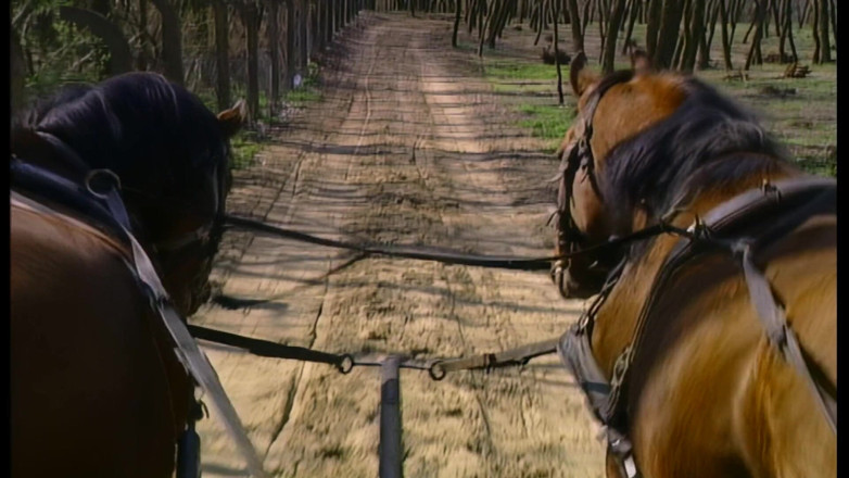 MMV Films: Gorąca Latynoska Zostaje Ostro Zerżnięta