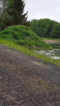 La giornata degli uomini in modo diverso: una passeggiata speciale
