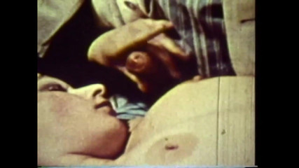 Vintage megastore: 肮脏的猪