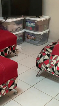 Sta visitando e passeggiando per la casa in biancheria intima. Non posso oppormi ad un culo così bello