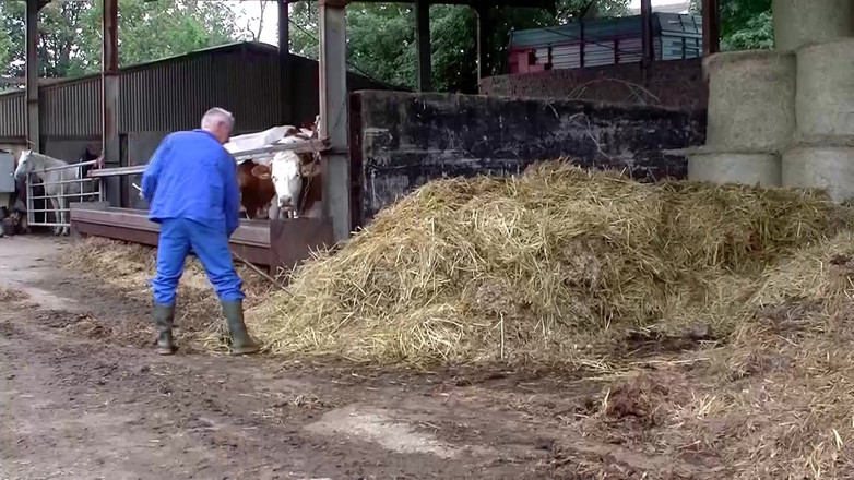 German Full Movies: Naučte se jezdit s nadrženými farmáři na jejich farmách a...