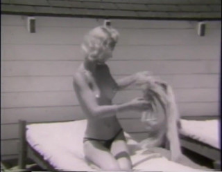 Vintage Usa: Cult Sex from the Past Vol.12