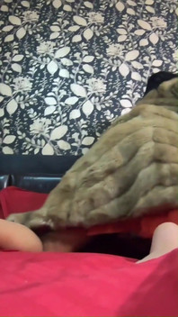 Do You Want to Play with This Fur-coat?