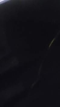 This Is Gateway Dick Right Here