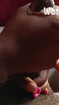 Welcome to Our No Nut December Series.