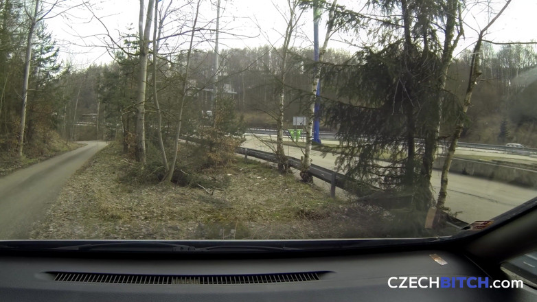 Czech Bitch: Cagna ceca 20: bionda vogliosa piena di sperma