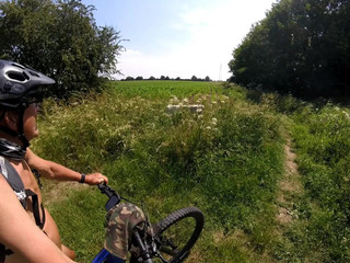 Andy: Procházka 41 2025