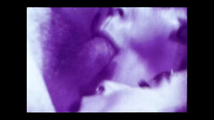 Close Encounter Vintage: Vintage porno retro erotické divadlo - trojka šťasného chlapa