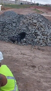 Die Arbeiter waren allein auf der Baustelle, und schau, was sie gemacht haben