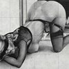 Faphouse