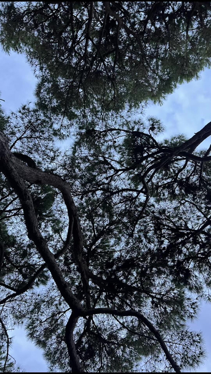 Artesensual: 앨범, 해변 순간들.