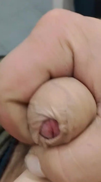 Jorutz - Vid-20241219-wa0003