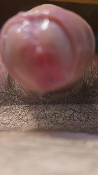 Very Big Dick Jerking in Front of Camere for Yuo