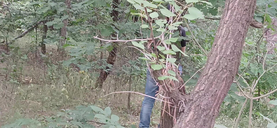 Lesbian-illusion: A treia iubită a noastră este de pază în parc, așa...