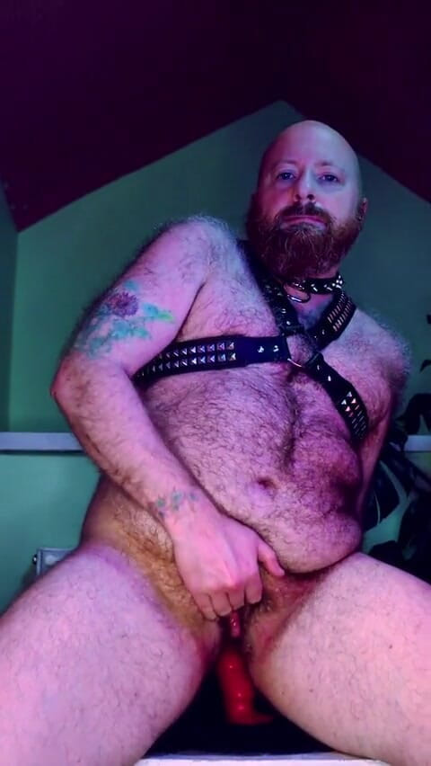 RonBeastlyFTM: Ftm / Trans Man Jacks off i tryska w uprzęży i...