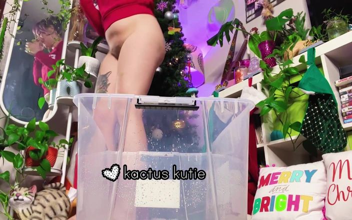 Kactus kutie: Kutie met grote reet plast in kerstdoos