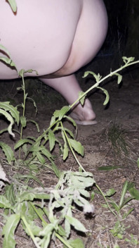 Pissing in the Garden