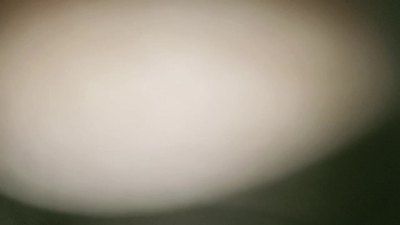 PARAMANANDA: Моя дорогая жена