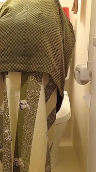 Toilet Video at a Hotel