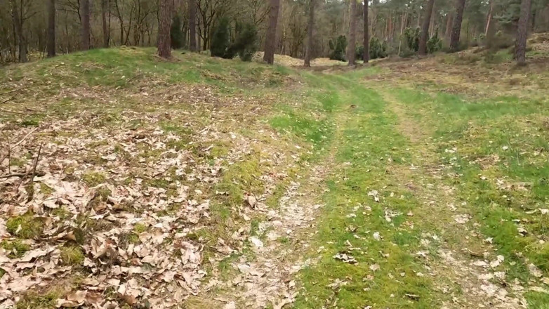 Bikergirl_97: Мій перший трах на відкритому повітрі з заплідненням обличчя