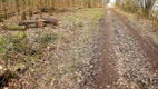 Bouncy Tits Action: Slapping Her Naked Vagina on a Woodpile