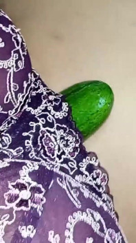 Porn with Cucumber XXX Vegetarian Sex - Netuhubby