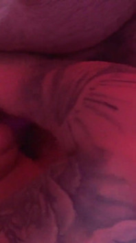 Alman porno yıldızı bebek Kira Knight grup seks yapıyor p3